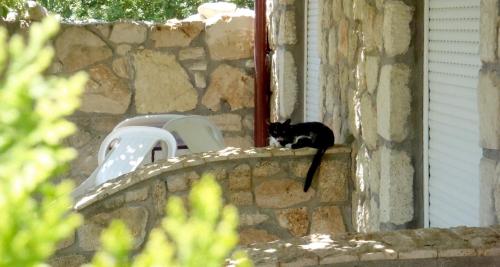  Giorgio Apartments in Kallithea (Chalkidiki)