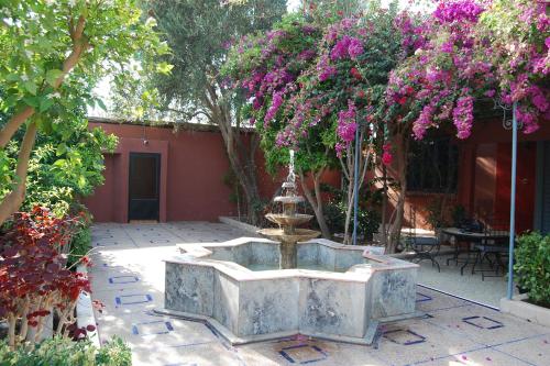 Riad les jardins Mabrouk in טרודנט