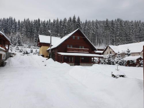 Pensiunea Putnisoara in Putna