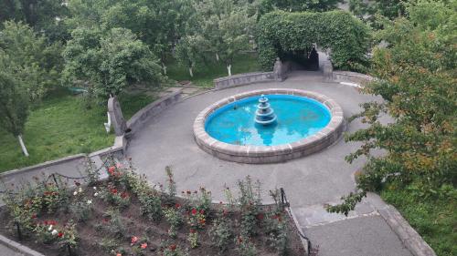 DINA - image 5