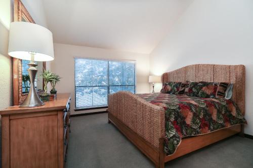 Resort Attractions in Willis, USA