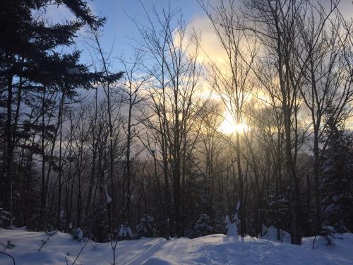 Loft Nature Laurentides