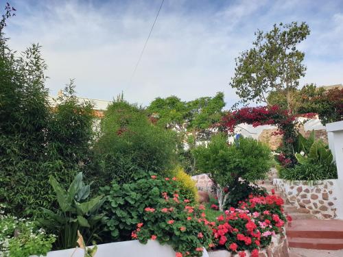 El Jardin De Su Merced B&B