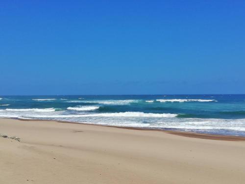 Caribbean Estate Deluxe by Top Destinations Rentals