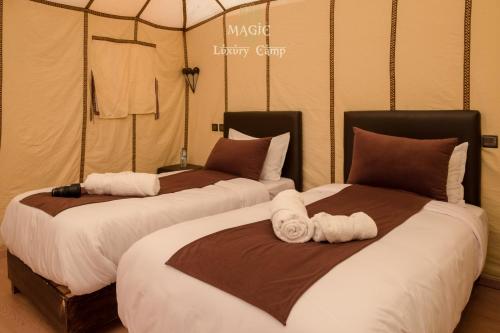 Magic Luxury Camp