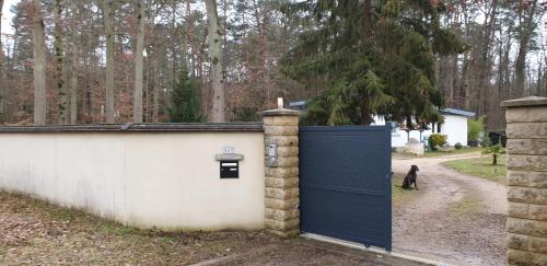 FORET DE FONTAINEBLEAU, chambre entrée privée. - Chambre d'hôtes - Arbonne-la-Forêt