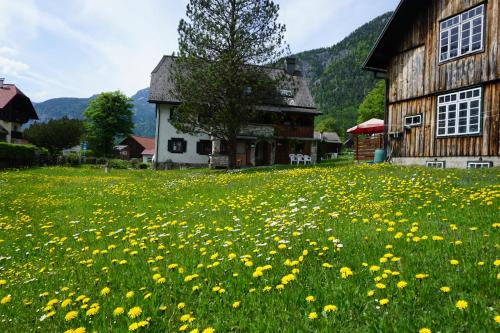 B&B Obertraun - Apartment Haider 1 - Bed and Breakfast Obertraun