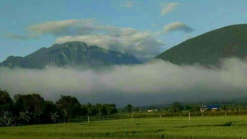 Ban Thung Talay Mok Chiangdao