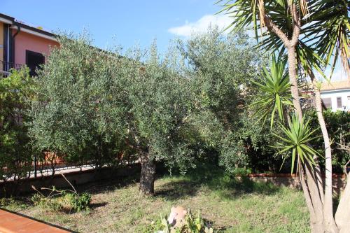 Andrea Case Vacanze L'Ancora - image 7
