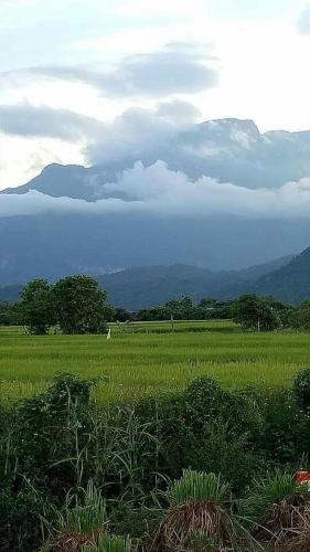 Ban Thung Talay Mok Chiangdao