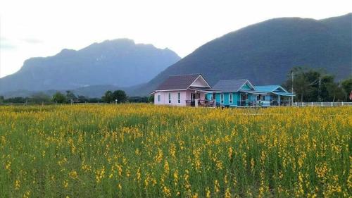 Ban Thung Talay Mok Chiangdao