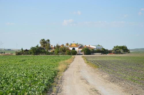 Cortijo Las Manoteras