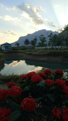 Ban Thung Talay Mok Chiangdao