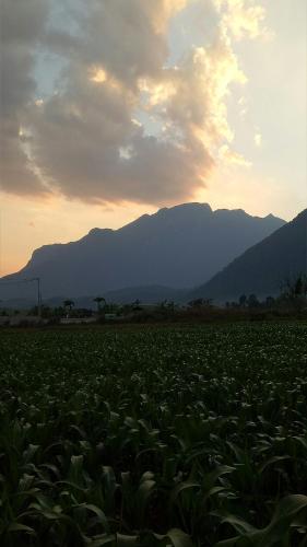 Ban Thung Talay Mok Chiangdao