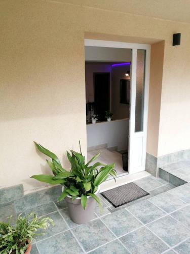 Apartman Unka in Metkovic