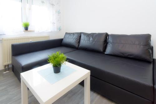 Private apartments close to subway, Нюрнберг (фото 10)