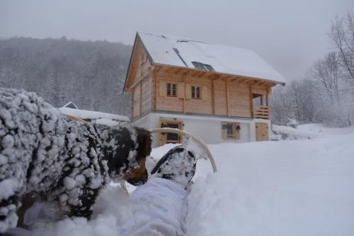 Mountain Lodge Mont Peace - image 6