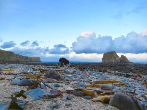 沙灘, Windhaven Camping and B&B in 瑟索