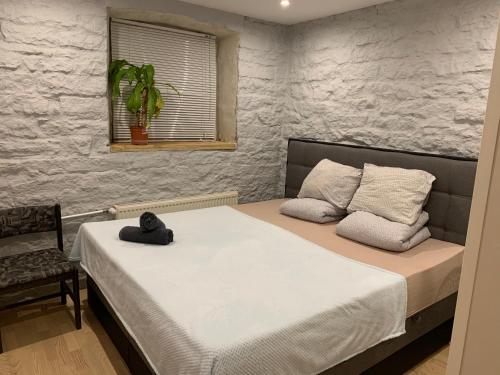 Hostel Suda5 in Lower Town