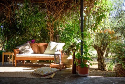 Red Cottage in the Olive Tree Fields