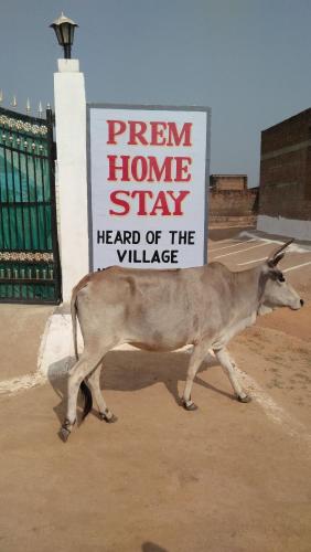 Prem Home Stay