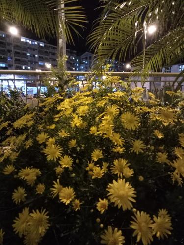 ICOLOR HOME & STAY CH2 ICOLOR HOME & STAY CH2