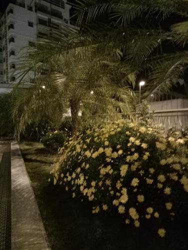 ICOLOR HOME & STAY CH2 ICOLOR HOME & STAY CH2