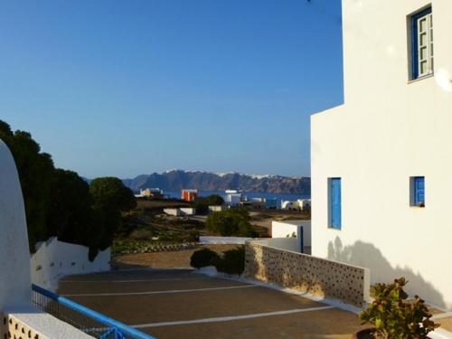 Thira's Dolphin - image 5