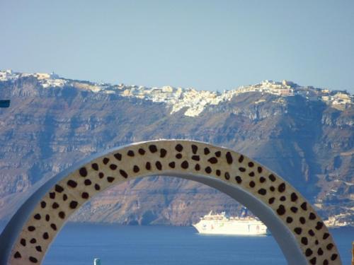 Thira's Dolphin - image 11