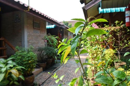 MG Guesthouse