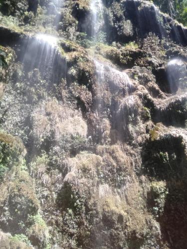 Sascha's Resort Oslob Sascha's Resort Oslob