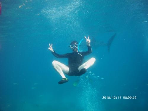 Sascha's Resort Oslob Sascha's Resort Oslob