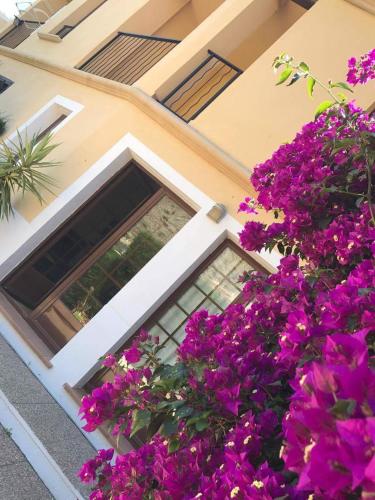 Garten, Benidorm holiday rental in Golf Bahia