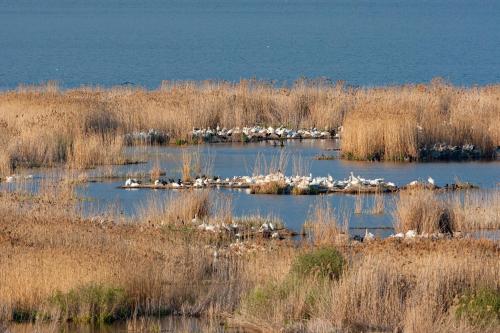 Agios Germanos - image 14