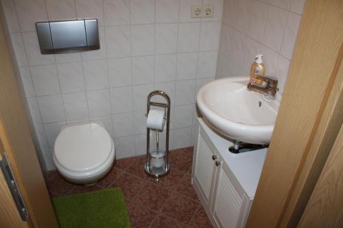 Bathroom, Ferienwohnung Eva und Alexander in Hirschbach
