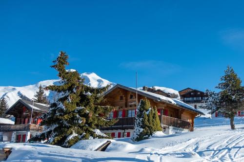 Chalet Elisabeth