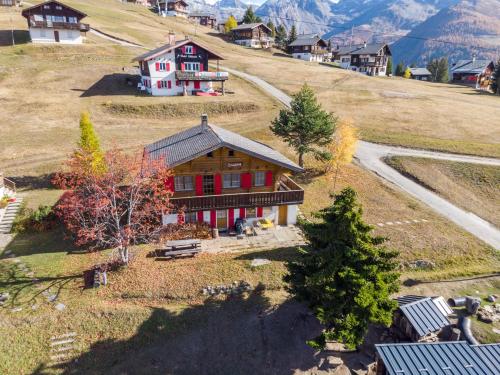 Chalet Elisabeth - Apartment - Rosswald