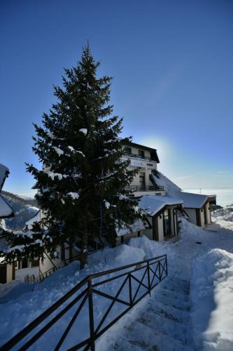 Apartment C2 Dvori - Kopaonik