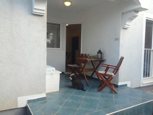 Apartments with a parking space Zambratija Umag - 16298 - main image