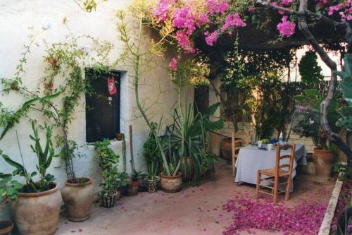  Casa de la Buganvilla, Pension in Rodalquilar