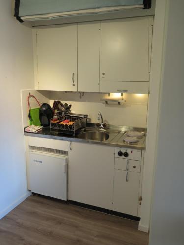 Swiss Seeblick Apartment mit Hotelanbindung - image 4