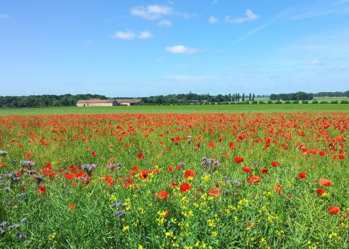 Ferme d'Orsonville