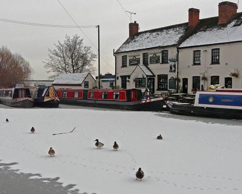 Fergies Canal Side Cottage