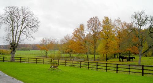 Ferme d'Orsonville