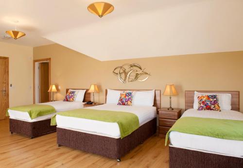 Kinvara Guesthouse - image 14