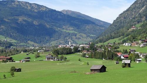 Freiraum Gastein Appartements - image 3