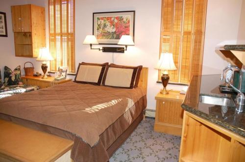 Independence Square 311, Best Location! Hotel Room with Rooftop Hot Tub in Aspen, Aspen (photo 4)