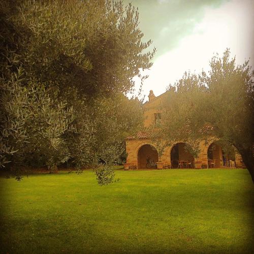 B&B La Casa tra gli Ulivi - image 3