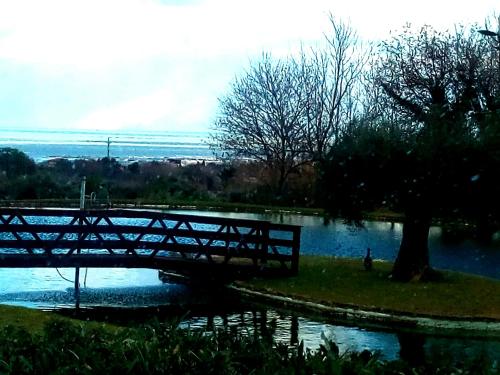 B&B La Casa tra gli Ulivi - image 9