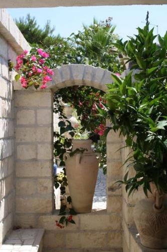 Villa Tiarè 5